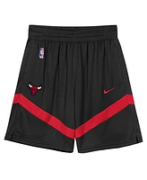 Nike Preschool 2-Piece Black Chicago Bulls Mesh Tank Top and Shorts Set