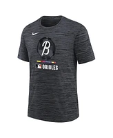 Nike Big Boys and Girls Black Baltimore Orioles Authentic Collection City Connect Velocity Performance T-Shirt