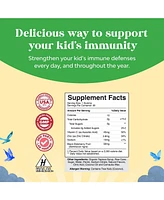 Kids Elderberry Gummies with Zinc & Vitamin C, Daily Immune Support Gummies | Raspberry Flavor | 90ct