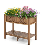 Hips Raised Garden Bed Poly Wood Elevated Planter Box