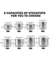 20 Quart Professional Grade Stainless Steel Stock Pot with Lid, Silver