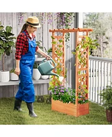 Raised Garden Bed with Side Trellis and Hanging Roof and Drainage Hole