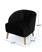 Christopher Knight Home Amaia Modern Velvet Club Chair