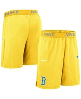 Nike Men's Gold Boston Red Sox Authentic Collection City Connect Performance Knit Shorts