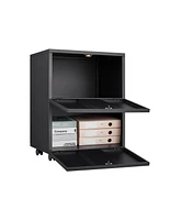 Office furniture Copier Cabinet black 2 door steel copier stand mobile pedestal file Printer Stand