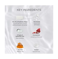 Teluris Hydro Purification Pre, Pro & Postbiotics Foam Cleanser