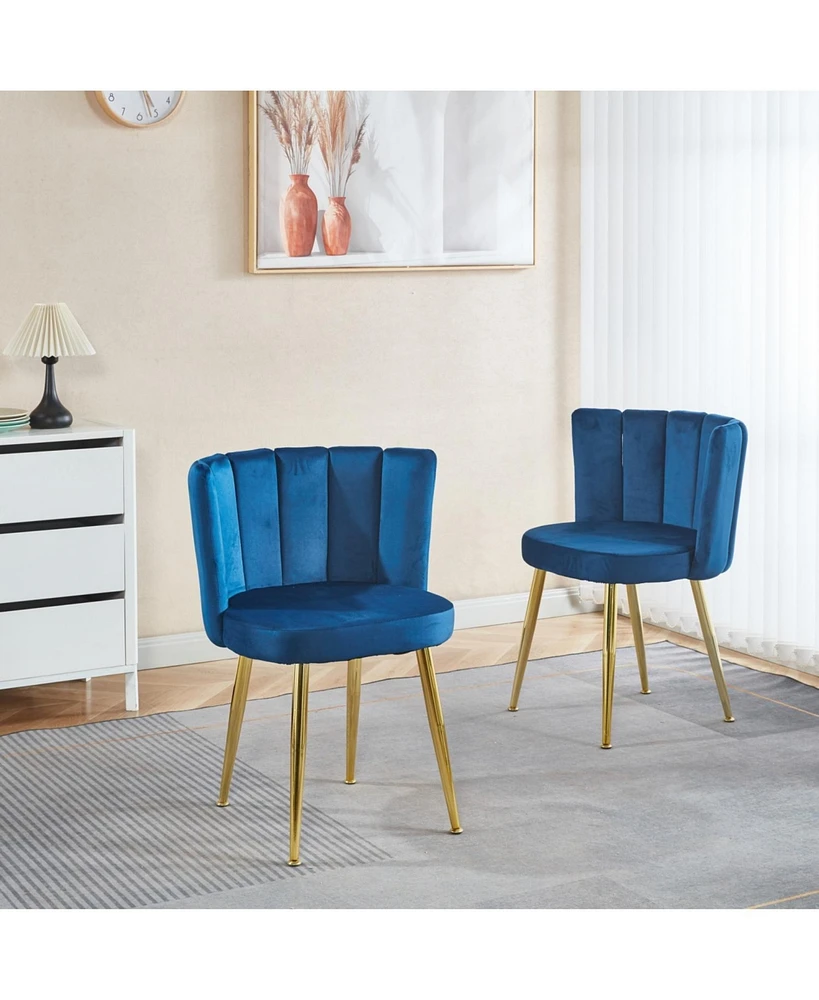 Cozy Velvet Dining Chair (Set of 2) with Gold Legs