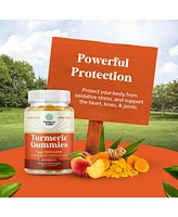 Turmeric Curcumin Gummies | Immune Booster Turmeric Gummies | for Joint Support and Advanced Skin Care | Peach Flavor | 60ct