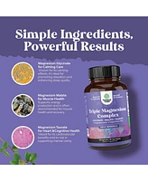 Triple Magnesium Complex | High Absorption Magnesium Taurate & Glycinate Malate Magnesium Blend | 90ct