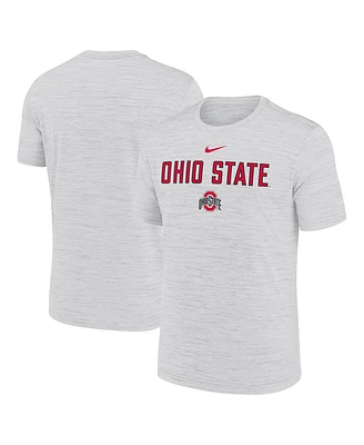 Nike Men's Ash Ohio State Buckeyes 2025 Sideline Velocity Performance T-Shirt