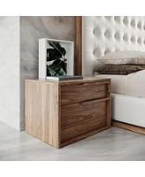 Modern Nightstand with Two Drawers for Bedroom Storage and Bedside Use
