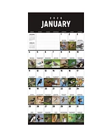 2026 Birds: Backyard and Beyond Wall Calendar