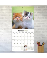 2026 Kittens Wall Calendar