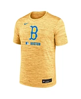 Nike Men's Gold Boston Red Sox 2025 City Connect Authentic Collection Velocity Performance T-Shirt