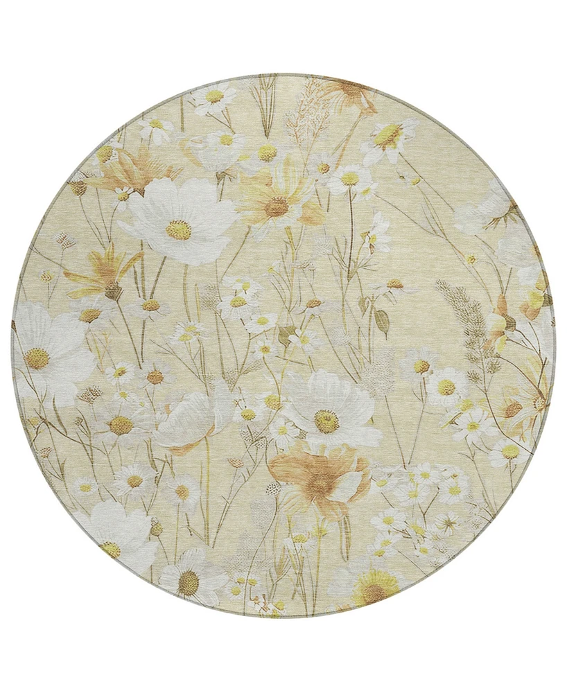 Addison Chantille Machine Washable ACN1505 8'x8' Round Area Rug