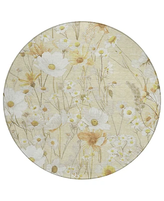 Addison Chantille Machine Washable ACN1505 8'x8' Round Area Rug