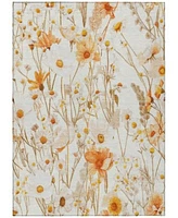 Addison Chantille Machine Washable Acn1500 Area Rug Collection