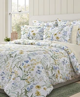 J by Queen Bold Tallulah -Pc. Comforter Set