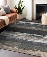 Addison Chantille Machine Washable ACN1280 10'x14' Area Rug