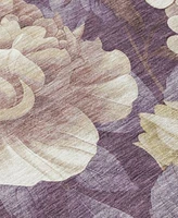 Addison Chantille Machine Washable Acn1561 Area Rug Collection