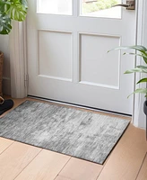 Addison Chantille ACN1468 1'8"x2'6" Area Rug