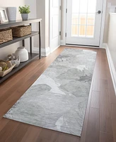 Addison Chantille Machine Washable ACN1556 2'3"x7'6" Runner Area Rug