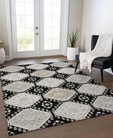 Addison Chantille Machine Washable Acn1443 Area Rug Collection