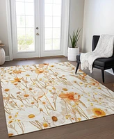 Addison Chantille ACN1500 3'x5' Area Rug