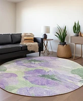 Addison Chantille Machine Washable ACN1554 8'x8' Round Area Rug