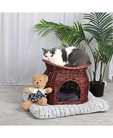 Bingopaw 2-in-1 Handwoven Willow Cat Bed & Storage Basket: Breathable, Reinforced Base, Arched Entry, 2-Tier