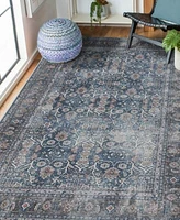Amer Rugs Alaska Machine Washable Ala5 Rug Collection