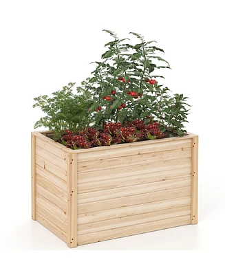 Wooden Raised Garden Bed Elevated Planter Box with Open-Ended Base