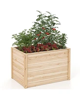 Wooden Raised Garden Bed Elevated Planter Box with Open-Ended Base