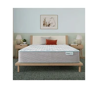 Beautysleep Bashful Lullaby 12.5" Firm Tight Top Mattress