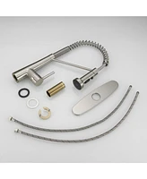 Single-Handle Pull-Down Sprayer 2 Spray High Arc Kitchen Faucet With Deck Plate
