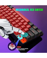 Risokeys 60% Wired Mechanical Keyboard, Mini Gaming Keyboard with 61 Keys for Pc, Windows Xp, Win 7, Win 10