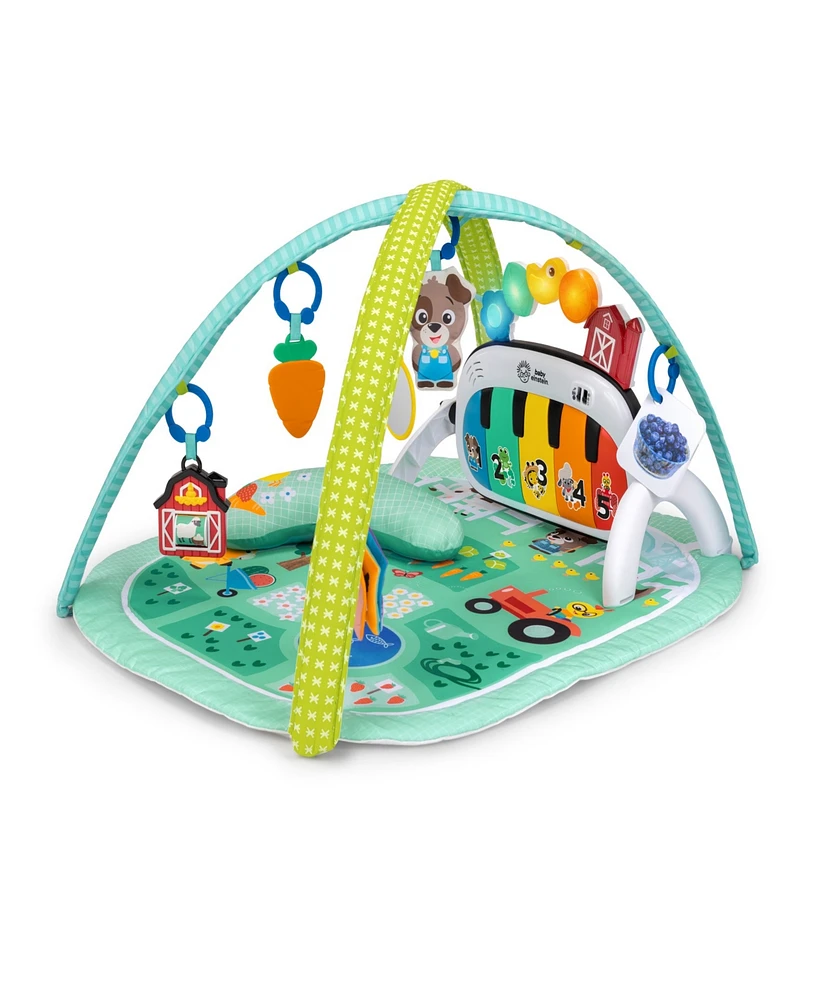 Baby Einstein Infant Farm Explorers 4-in-1 Music Language Discovery Gym