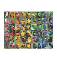 New York Puzzle Company Rainbow of Birds 1000 Piece Puzzle