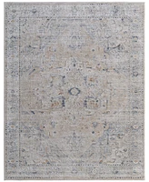 Feizy Pasha 39M5F 5'x7'6" Area Rug
