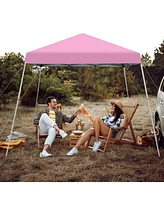 10 x 10 Feet Outdoor Instant Pop-up Canopy with Carrying Bag