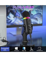 ZealSound Usb Microphone K66Pro Bundle with Furry Windscreen D65K