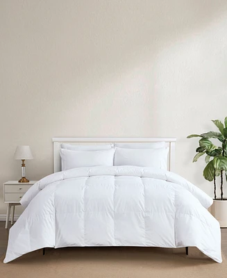 Avocado 500-Thread Count Down Comforter