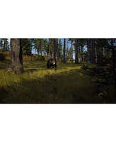 Way Of The Hunter