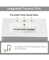 Casainc 24" Bathroom Vanity with Sink, 2 Drawers and Door, Adjustable Shelf