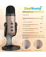 ZealSound Usb Microphone k66g Gold and Furry Microphone Cover Bundle