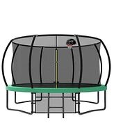 12FT Kids Trampoline with Net & Ladder