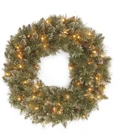 National Tree Company 24" Glittery Bristle Pine Wreath with 50 Clear Lights