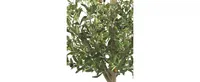 Nearly Natural 4.5' Olive Double Topiary Tree