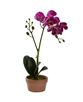 Nearly Natural 4-Pc. Phalaenopsis Orchid Set with Clay Vases