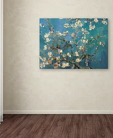 Vincent van Gogh 'Almond Blossoms' Canvas Art